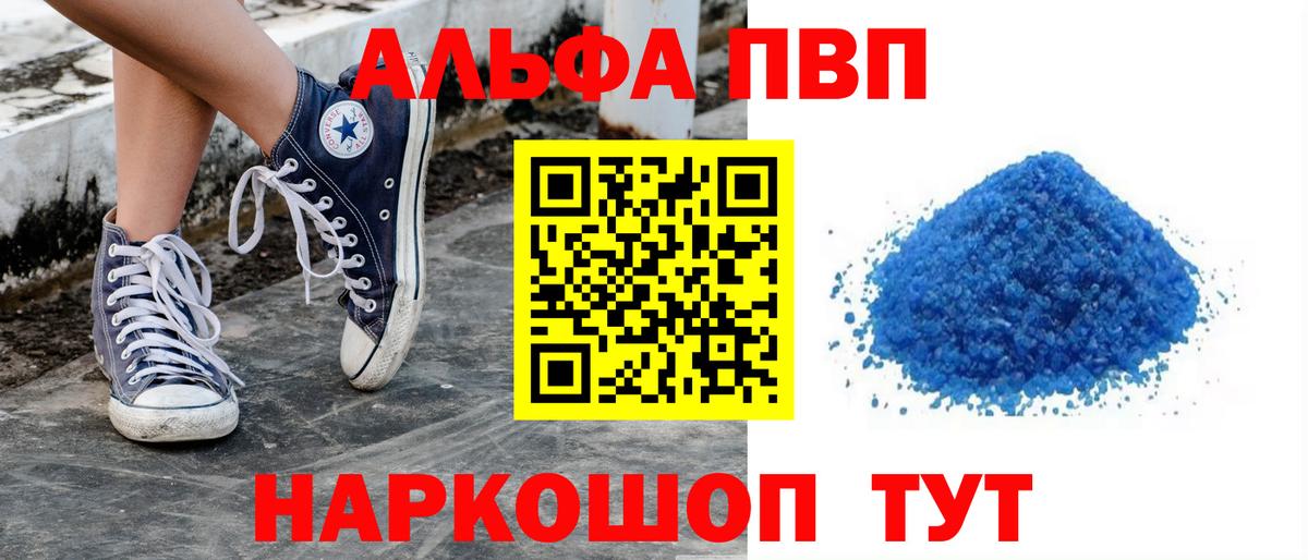 Альфа ПВП СК КРИС Элиста