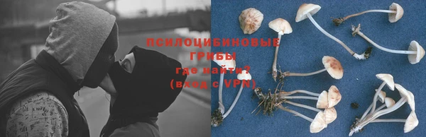 mix Алексин