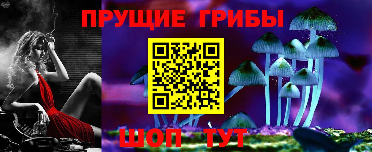 Галлюциногенные грибы ЛСД  Псилоцибиновые грибы GOLDEN TEACHER  Элиста  Вход с VPN 