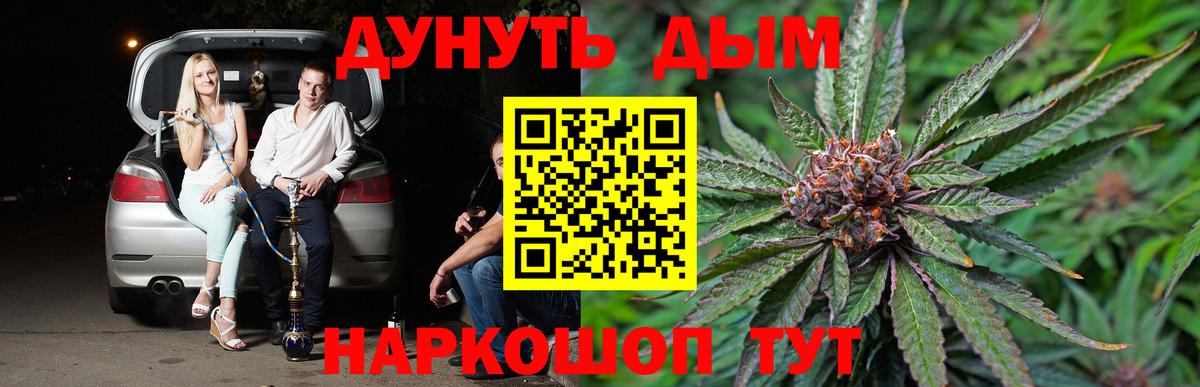 Бошки марихуана Amnesia  Бошки марихуана сатива  Канабис Ganja  Элиста  Вход с VPN  Марихуана VHQ 